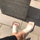 토브마켓
