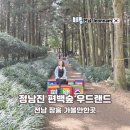 정남진 편백숲 우드랜드 | 전남 장흥 여름여행 가볼만한곳 정남진 편백숲 우드랜드 해먹 체험 후기