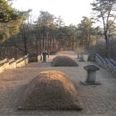 경안군 및 임창군묘 이미지