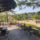 스넥테라스 이미지