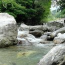 건들내민박 이미지