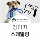 아이조은동물병원 이미지
