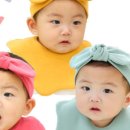 밴드홀릭 이미지