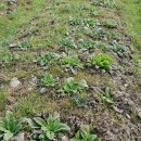 용운농장 이미지