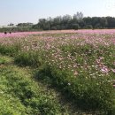 재미나 농장 이미지