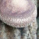 소민농장 이미지