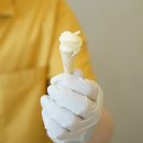 무조건 꼭 먹고 가야하는 제주 디저트 맛집 젤라또 오뷔아이스크림 내돈내산 후기