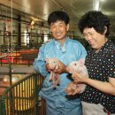 김천양파포크영농조합법인 이미지