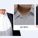 프롬디 이미지
