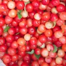 토바맑은식품 이미지