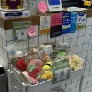 뉴케어 동물병원 | 용인 뉴케어동물병원 | 강아지 스케일링, 발치, 항체검사, 내장 동물칩 삽입