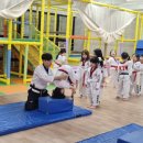경희대솔밭태권도 이미지
