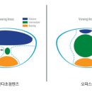 파로스안경 이미지