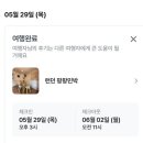 도리민박 | 혼자 다녀온 유럽여행 무조건 다시 가고 싶은 런던 숙소 팡팡민박 후기