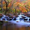 금정역 5번출구 앞 이미지