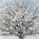바다만남 Daum카페