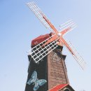 가양네거리 가양산부인과 앞 이미지