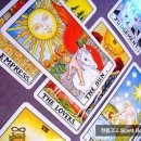 타로 심리상당 이미지