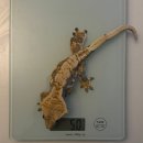 밸런스 앤 브리딩 이미지