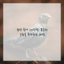 시원외과의원 이미지