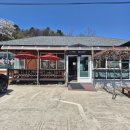 봉평메밀막국수냉면 | 봉평메밀막국수냉면 강원도 고성 막국수 맛집 방문후기