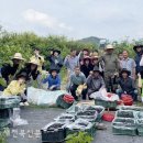 시기동주민센터 이미지