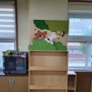 선주초등 병설 이미지