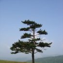 삼양농장 이미지