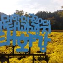 2017년 10월 27일_ 울산 태화강국화축제 / 간절곶 이미지