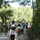 지 ·엠 ·지 이미지