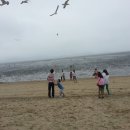 그래이프힐 이미지