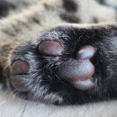 신원보건지소 | 난임부부 시술비 지원결정통지서/ 교통비 지원 -울주군 남부통합보건지소