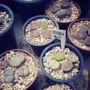 봉일농장 이미지