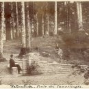 영성약국 이미지