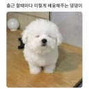 성수 네이버블로그