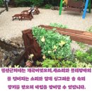 백운동계곡펜션 이미지