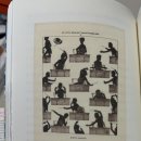 교향악단 제140회 정기연주회 이미지