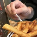 포테이토101