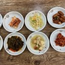 제주통 이미지