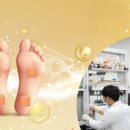 ㈜메디셀 이미지