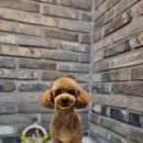 오도독뽀도독 이미지