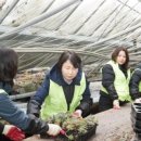 남사의원 이미지