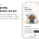 멍이로움 이미지