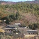 [칼럼}양동마을의 기운을 서백당 후손이 잇는다 이미지