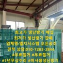 영일만활어횟집식당