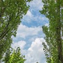 하늘사이주간보호센터 이미지