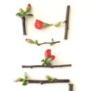 까페 곳 이미지