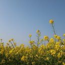 성공렌트카 이미지