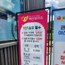 보리수 | 여산 보리수카페 솔직후기(수영장이용안함)
