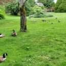 신기수목장 이미지